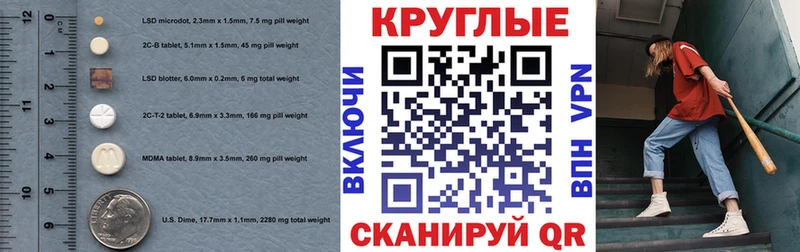 закладки  Владимир  Экстази Philipp Plein 