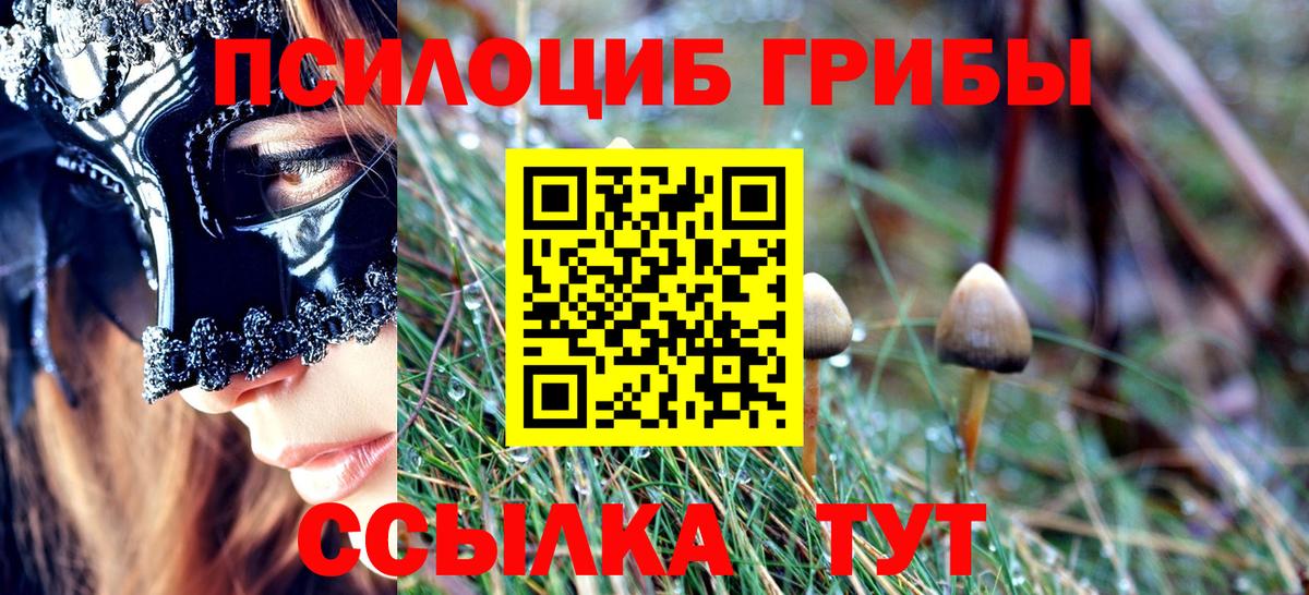 Псилоцибиновые грибы Psilocybe Владимир