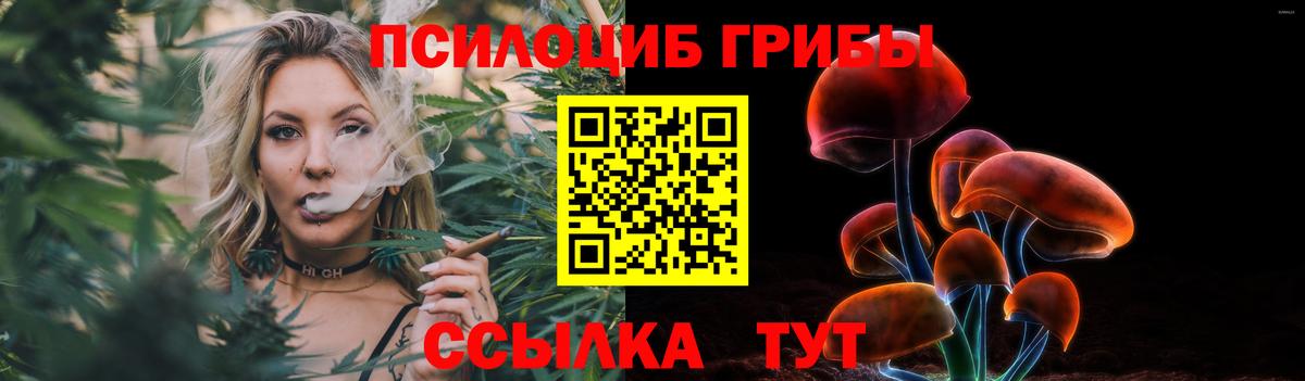 купить закладку  Вход с VPN  Псилоцибиновые грибы прущие грибы  Владимир  Псилоцибиновые грибы Magic Shrooms 